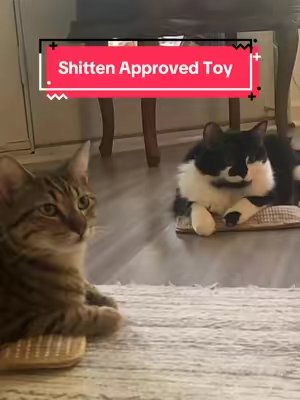TikTok post by @magnoliamadebymaryann for Potaroma. Caption reads: My cats say thank you very much @Potaroma Pets for....