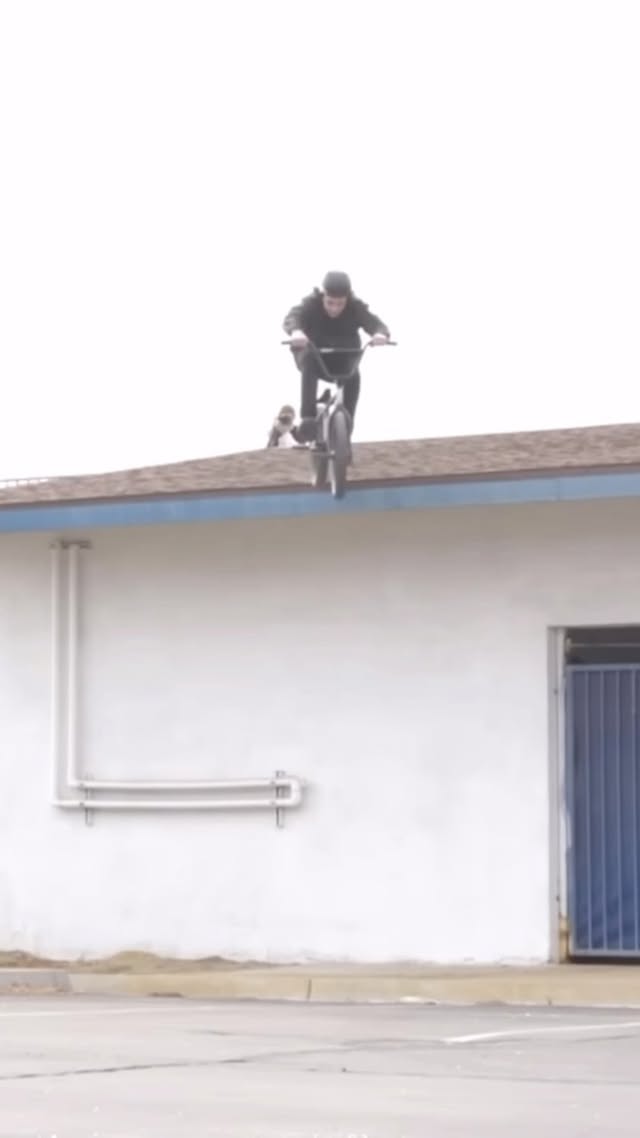 Instagram post by @prestonokert for CULTCREW. Caption reads: last 2 @laterissue 1030D.