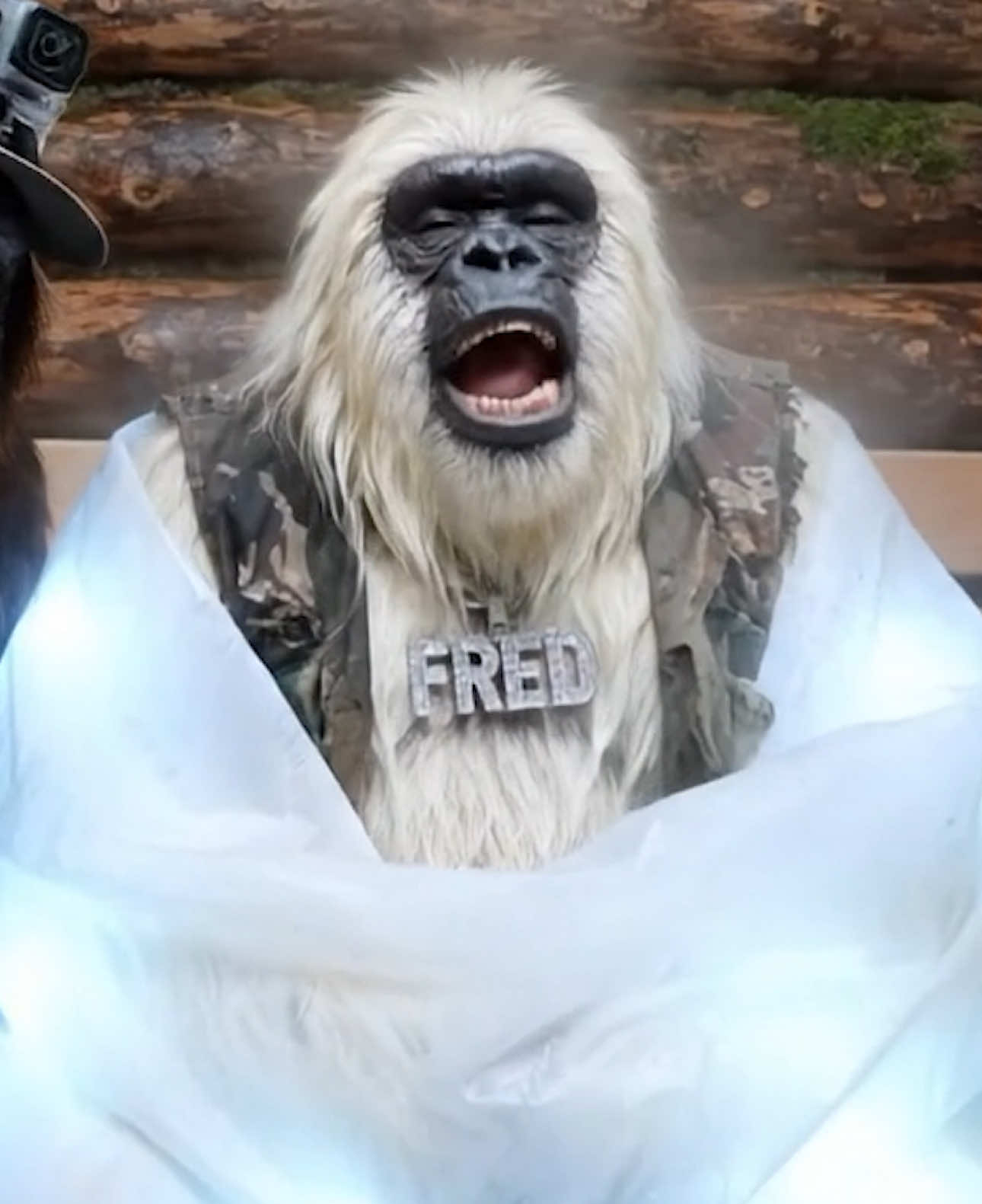 TikTok post by @bigfootboyz for Ice Blankets. Caption reads: [...] bro just iced you out with the new @Ice....