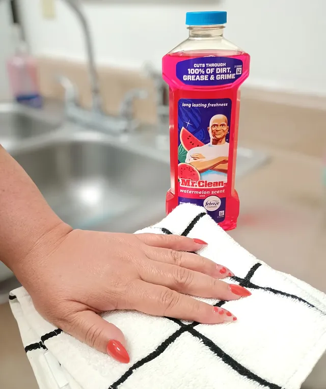 Instagram post by @alissa.denae for Mr. Clean. Caption reads: I've been using Mr. Clean Multi-Surface Cleaner in....