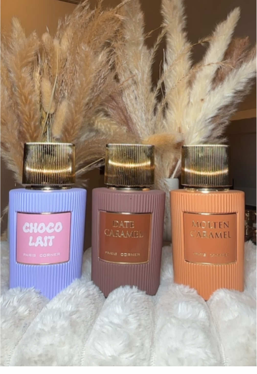 TikTok post by @lisafragrances for Aroma Concepts. Caption reads: Paris Corner ~ How beautiful are these bottles....