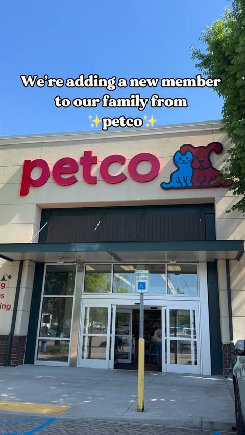 Instagram post by @karinaalyza for Petco. Caption reads: [...] made it happen thanks so @petco 🩵 #ad We....