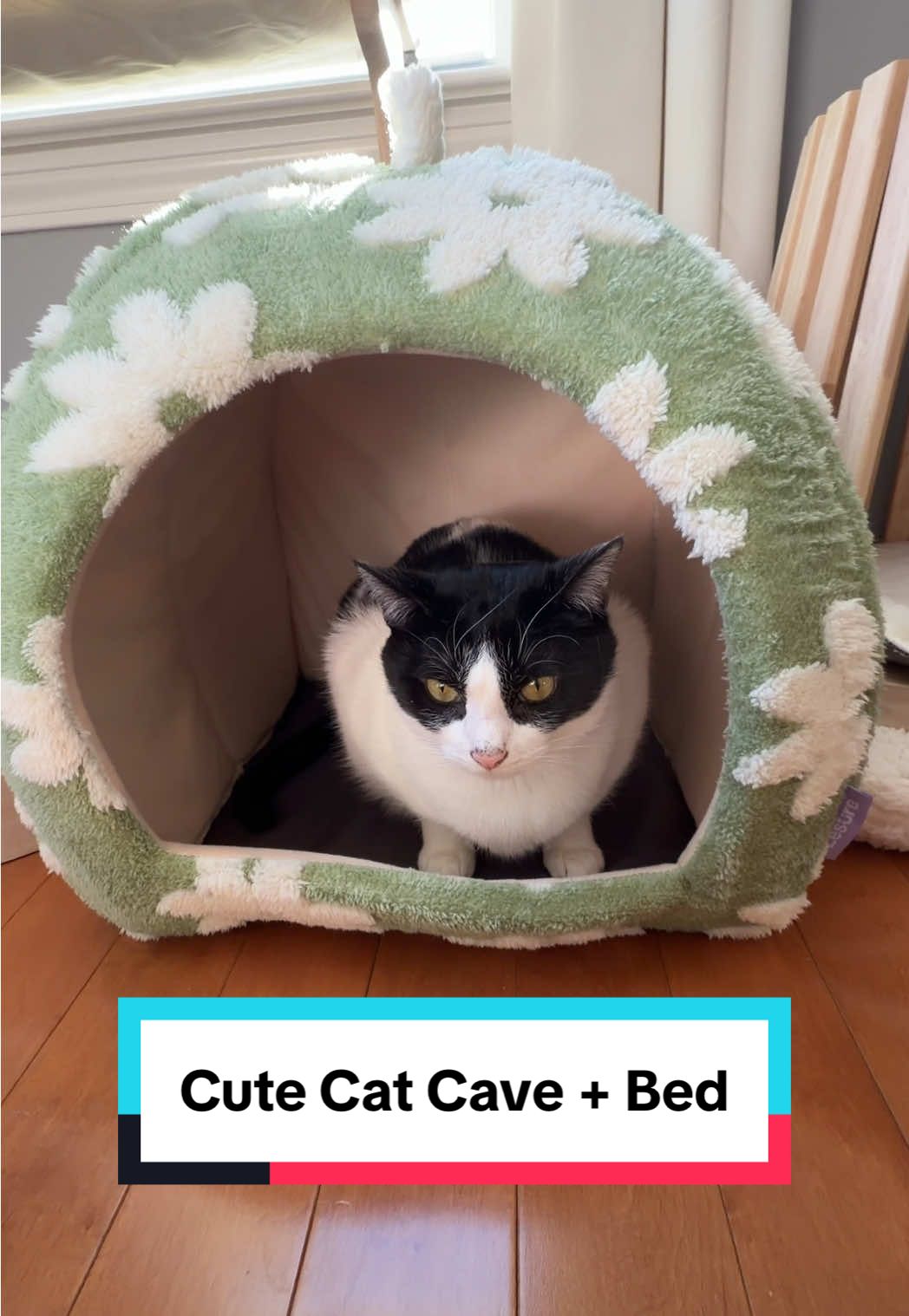 TikTok post by @_dashandluna_ for Lesure Pet. Caption reads: [...] cat cave that turns into a bed too! @Lesure....