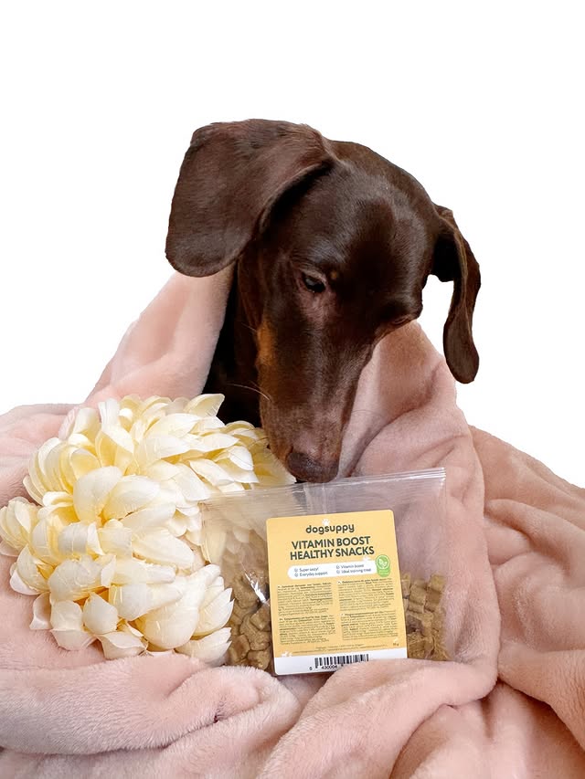 Instagram post by an influencer for DogSuppy UK. Caption reads: ♥️🦴♥️ The look of LOVE for my YUMMY vitamin boost....