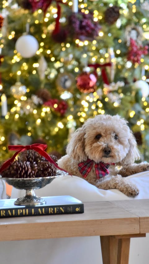 Instagram post by @onassisandclaire for King of Christmas. Caption reads: [...] our Holiday Home Tour🎄🏡♥️
with....