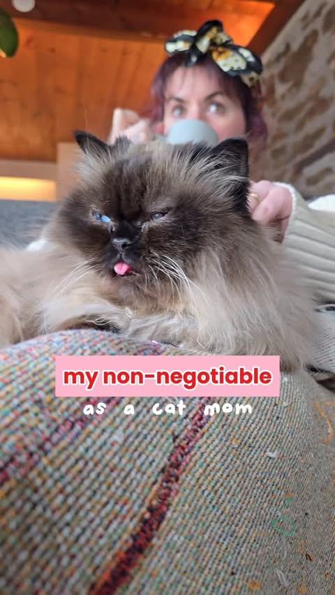 Instagram post by @munchkinstevie for Oxyfresh. Caption reads: [...] dental care! 🦷😺 I’ve been adding @oxyfresh....