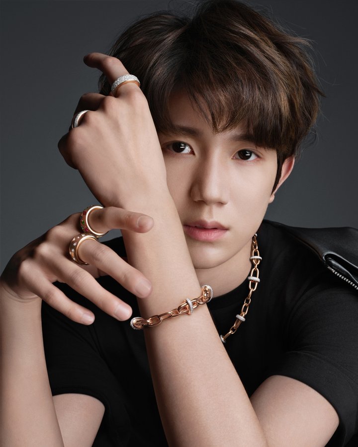 Instagram post by @roy_____wang for Pomellato. Caption reads: Pomellato presents Roy Wang as its new Global....