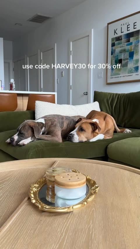 Instagram post by @abbyanddogs for Azuna. Caption reads: #ad Comment AZUNA to get a link and special....