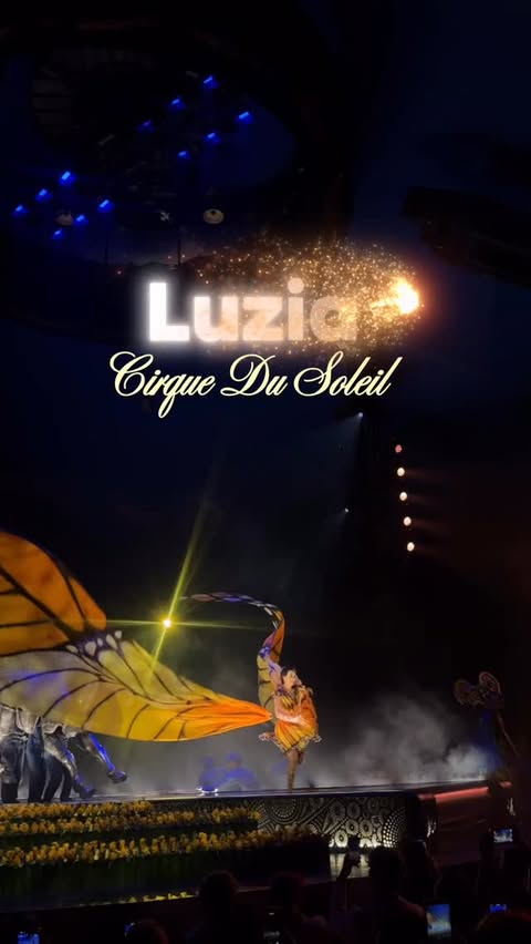 Instagram post by @michelle_vanessaa_ for Cirque du Soleil. Caption reads: South Florida welcomes Luzia by @cirquedusoleil ,....