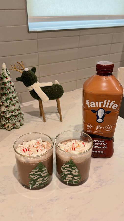 Instagram post by @jordanloufas for fairlife. Caption reads: My favorite holiday hot chocolate hack 😍☕️🎄....