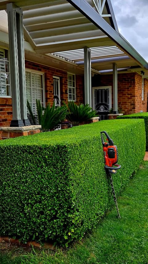 Instagram post by @southerncrossgardens for Husqvarna. Caption reads: [...] a hot knife through butter!!....