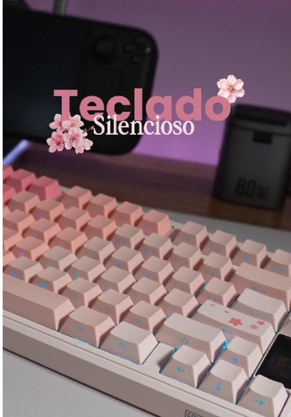 TikTok post by @di_aragon for Epomaker. Caption reads: [...] Silenciosos. Es el TH80 V2 PRO de @Epomaker....