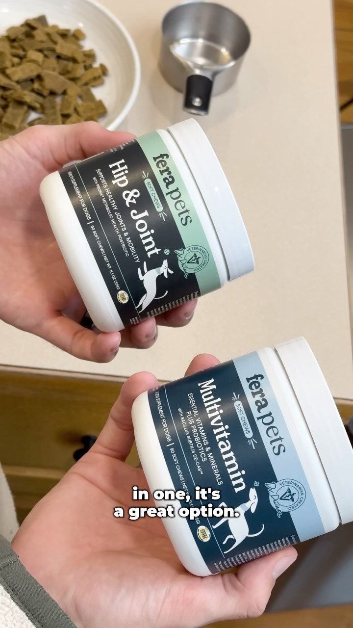 Instagram post by @thebkpets for Fera Pets. Caption reads: #ferapartner Comment SUPPS and we’ll send you a....