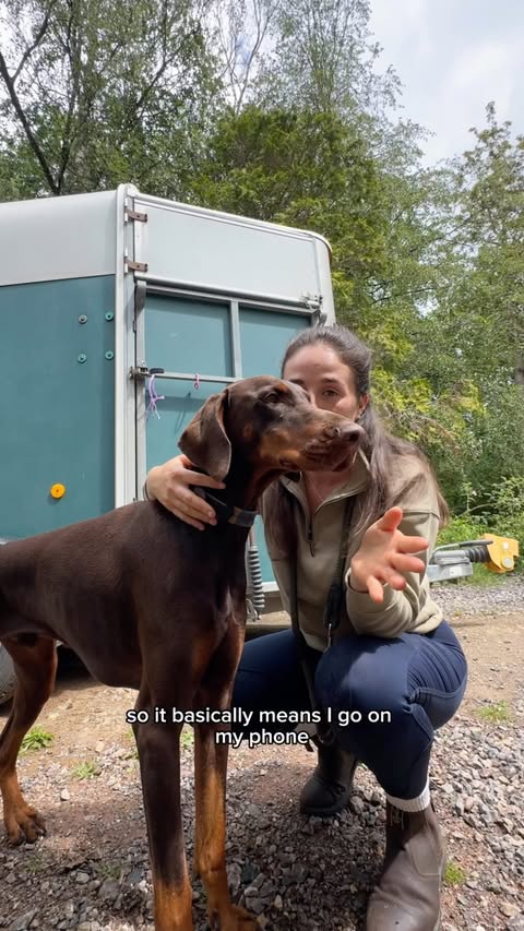 Instagram post by @thewalkingequestrian for Tractive. Caption reads: We have been using a tracker from @tractive for a....