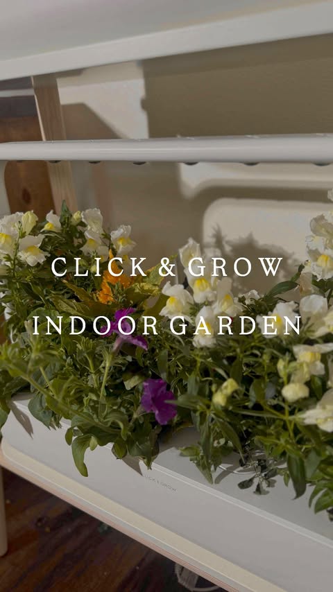 Instagram post by @realfarmerjeff for Click and Grow. Caption reads: Comment BLOOM for more information on Click & Grow....
