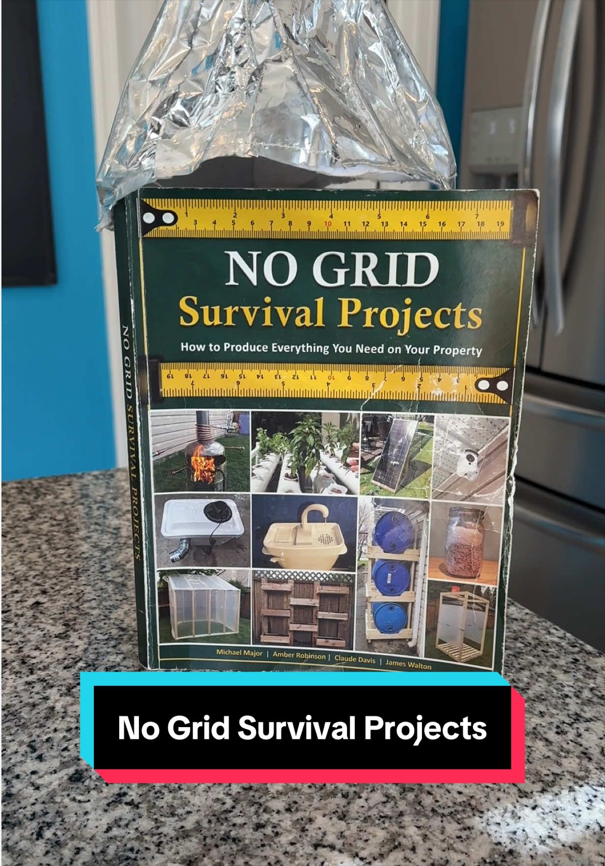 TikTok post by @graveyardgoonz for The Lost Skills. Caption reads: [...] #survivaltips #diy #poweroutage @The Lost....