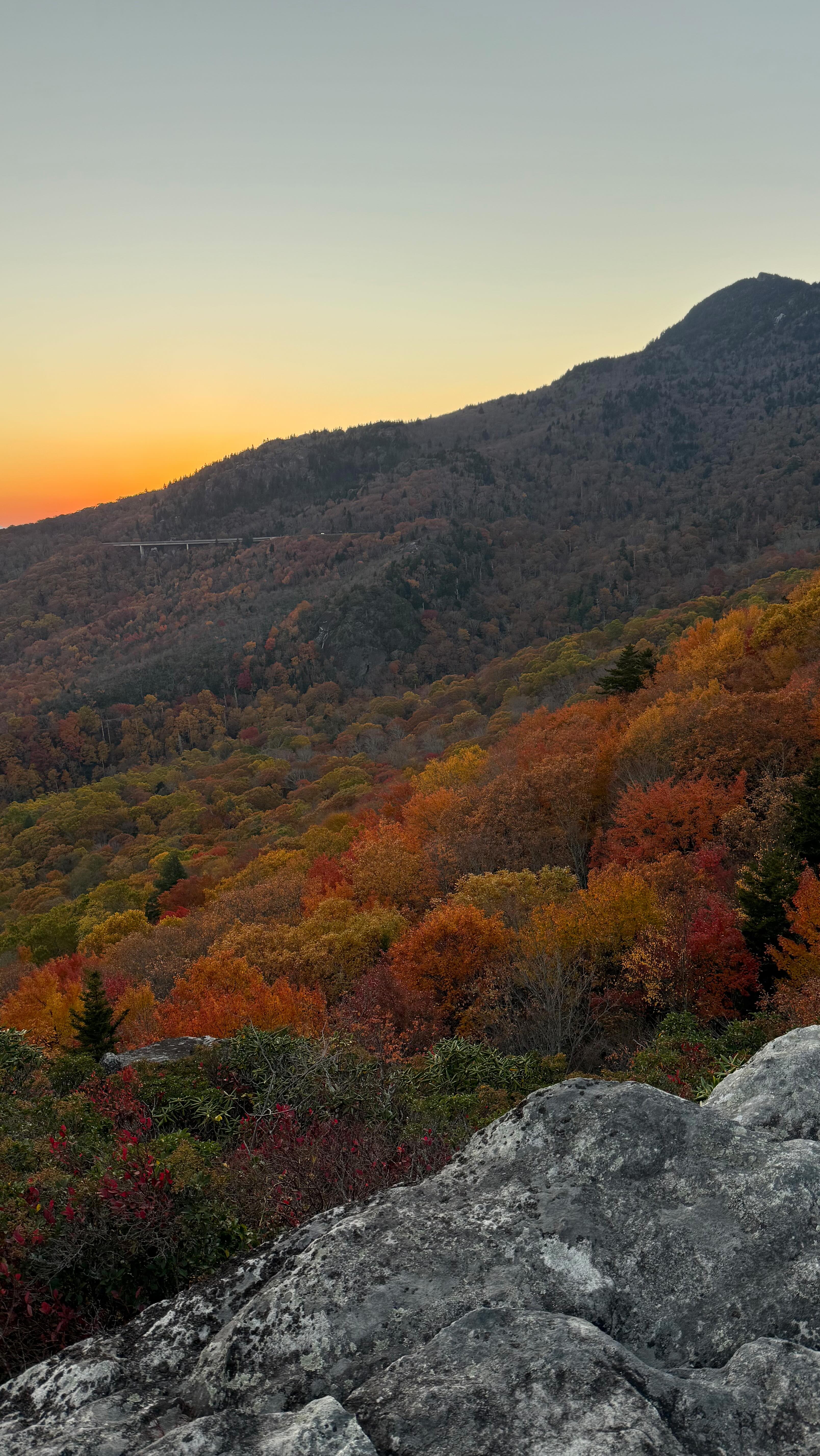 Instagram post by @madisonmealy for Ruggable. Caption reads: a bit cozier now 🍂🥹 ft. the new All-in-One....