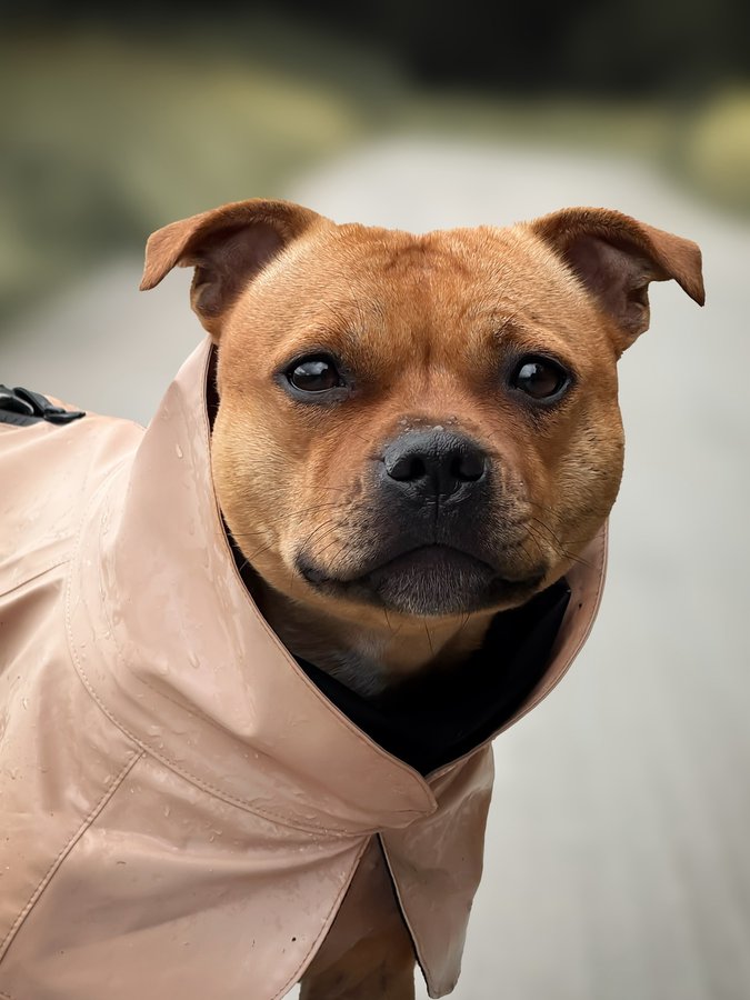 Instagram post by @yava.sofie for PAIKKA. Caption reads: [...] rain…
Give us snooow 🤍

Ad/ wearing....