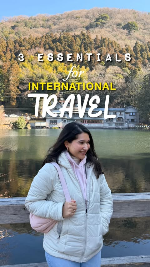 Instagram post by @theishitanegi for SafetyWing. Caption reads: If you’re traveling internationally, don’t skip....