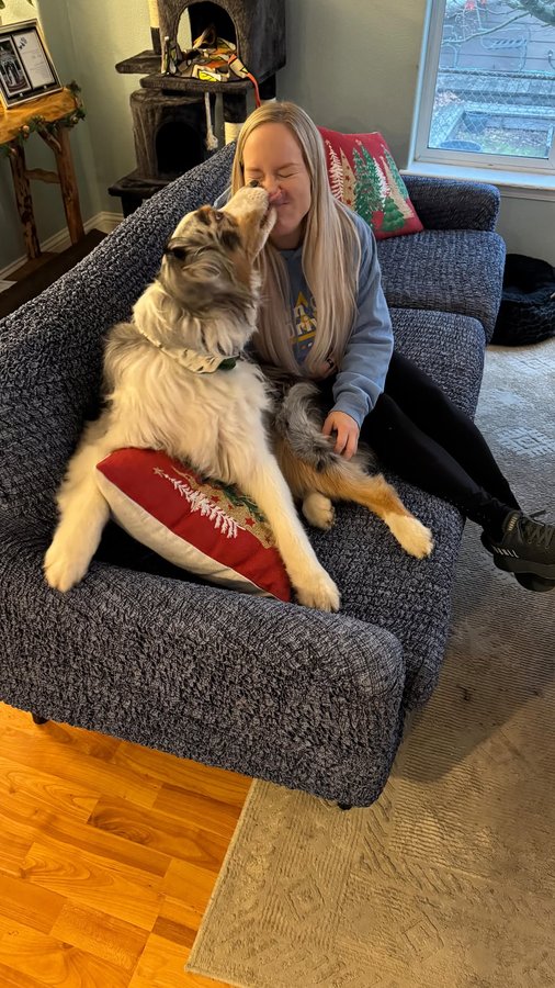 Instagram post by @merleandmoonlight for Mamma Mia Covers. Caption reads: [...] come through for training! Our new....