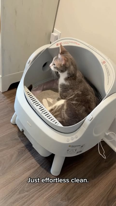 Instagram post by @samcyildiz for PetPivot. Caption reads: [...] off. Link is in my bio!
#autoscooper....