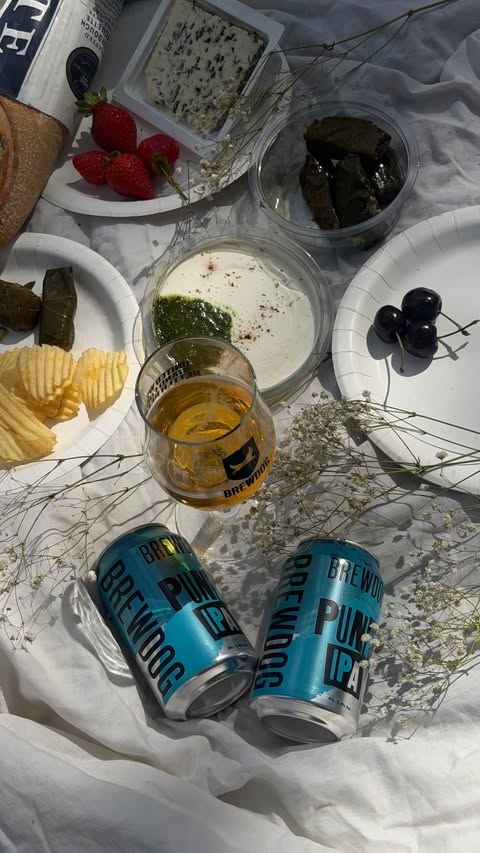 Instagram post by @badcatclub_ for BrewDog. Caption reads: [...] date idea? i got u sun, picky bits and....