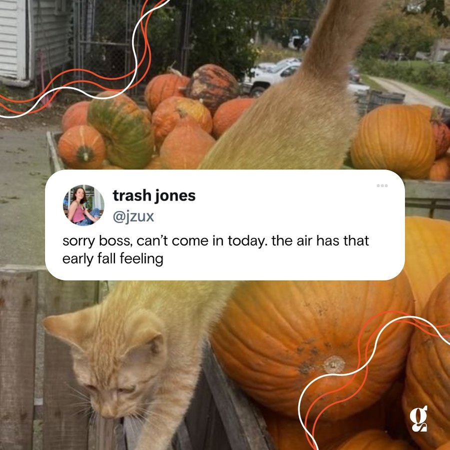 Instagram post by @gadzucks for Girlboss. Caption reads: When the days are finally starting to feel like....