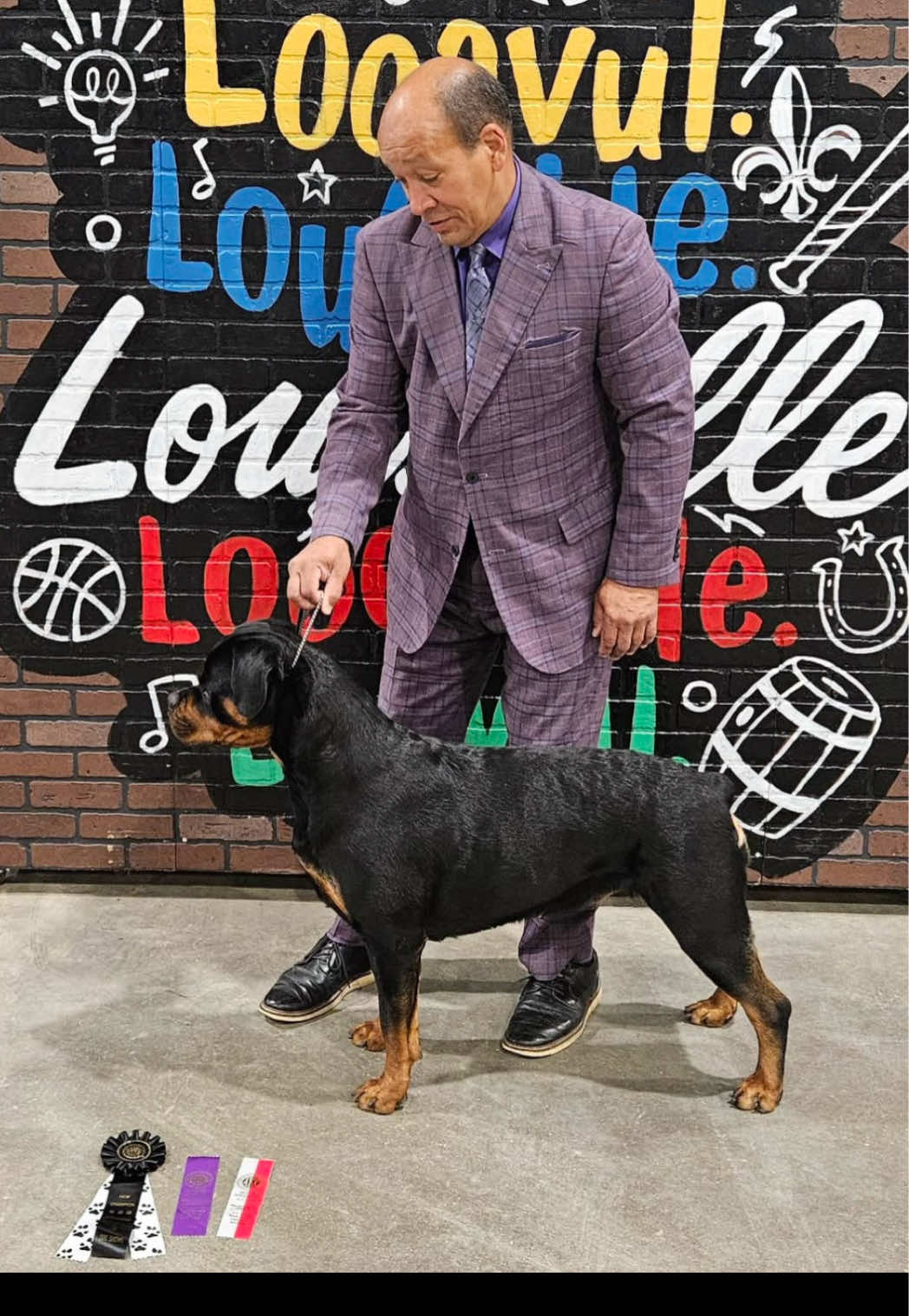 TikTok post by @sapperhausrottweilers for King Lou. Caption reads: Favorite Dog Treats, bait? That’s Easy! King Lou....