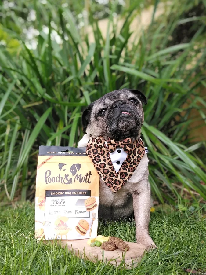 Instagram post by @lilrascalpug for Pooch and Mutt. Caption reads: H a p p y  T O T
.
.
.
.
Aloha furiends, Today be....