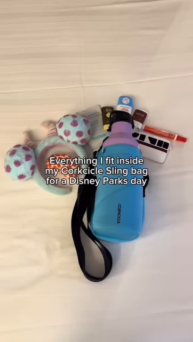 Instagram post by @disneyboundsolo for Corkcicle. Caption reads: [...] essentials for a day at Disney in my....