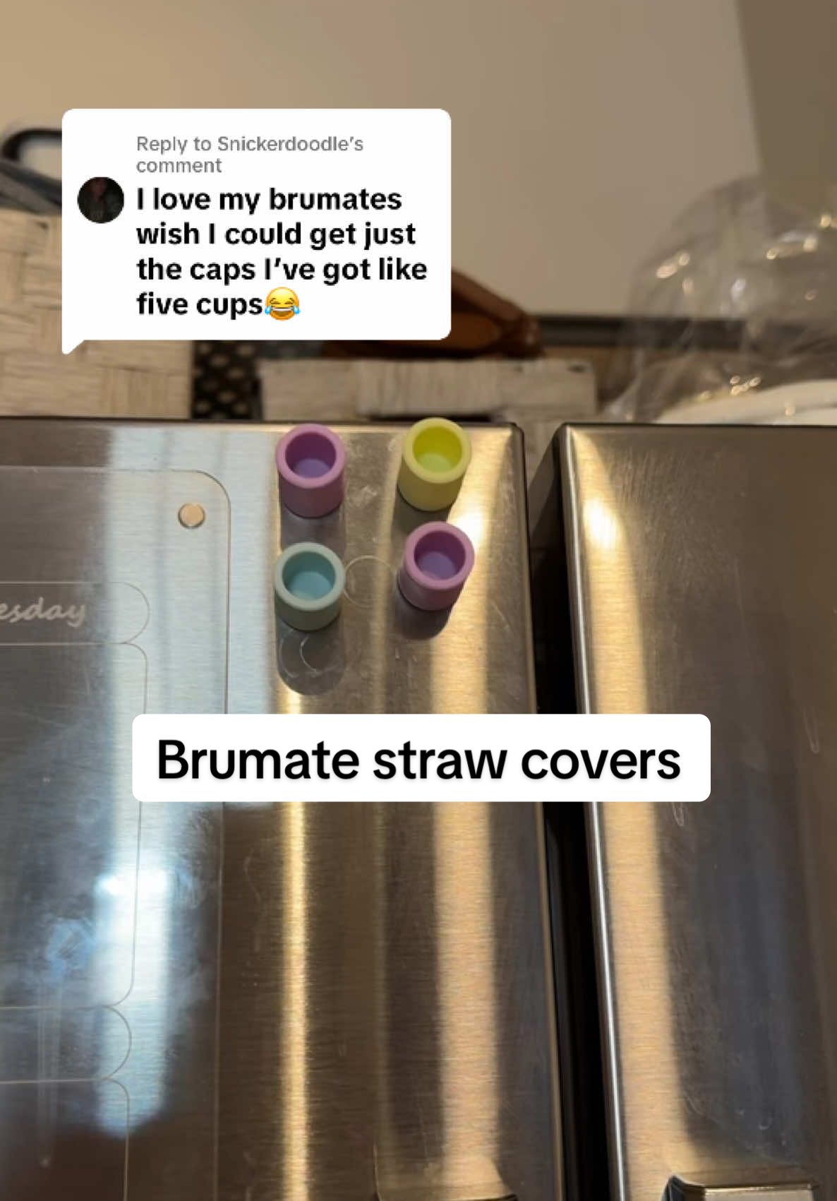 TikTok post by @raisingbabyt for BruMate. Caption reads: [...] @Snickerdoodle already own a Brumate?! Don’t....