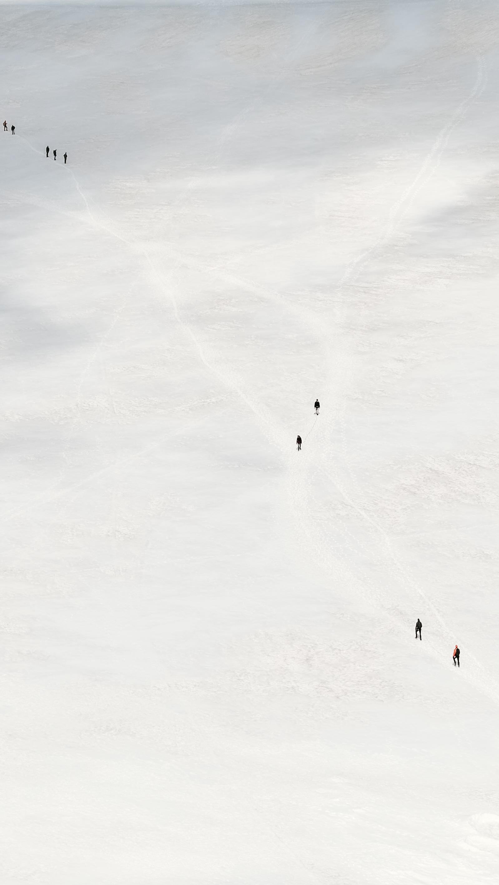 Instagram post by @chrispriestley__ for Hasselblad. Caption reads: Shooting in JPEG on the @hasselblad X2D II 100C 📸....