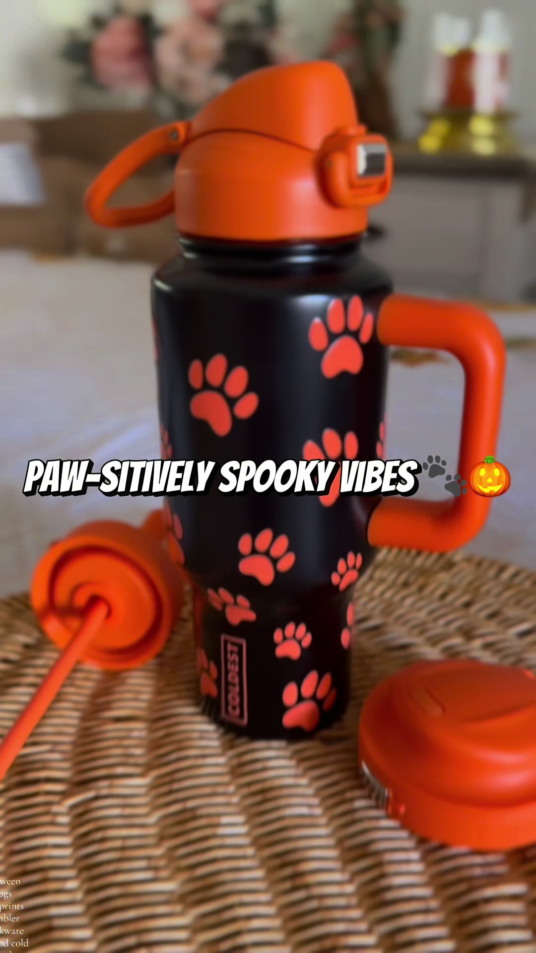 TikTok post by @gabby_srz1 for Coldest. Caption reads: #creatorsearchinsights Paw-sitively spooky vibes....