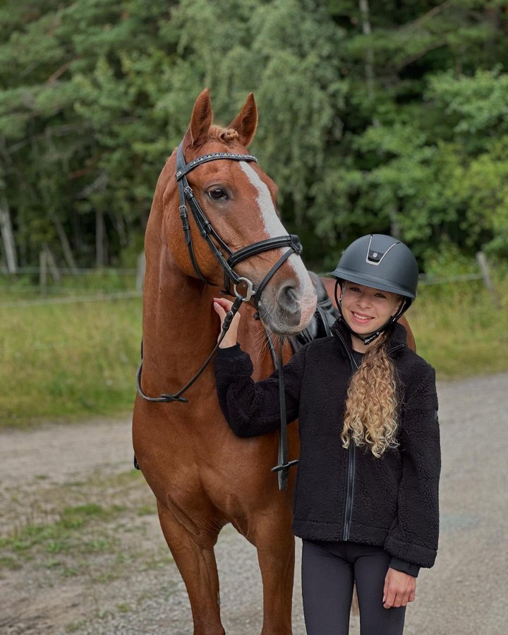 Instagram post by @angelinas.ponies for EQUESTRIAN STOCKHOLM. Caption reads: [...] fall is just around the corner🍁 Equestrian....