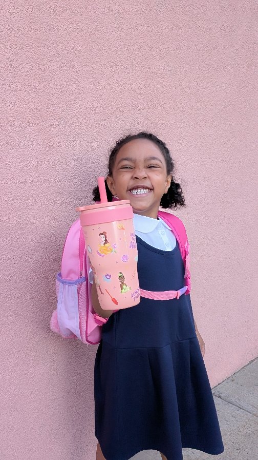 Instagram post by @novelleandmommy for Zak. Caption reads: [...] new Disney Princess Cruiser Tumbler from....