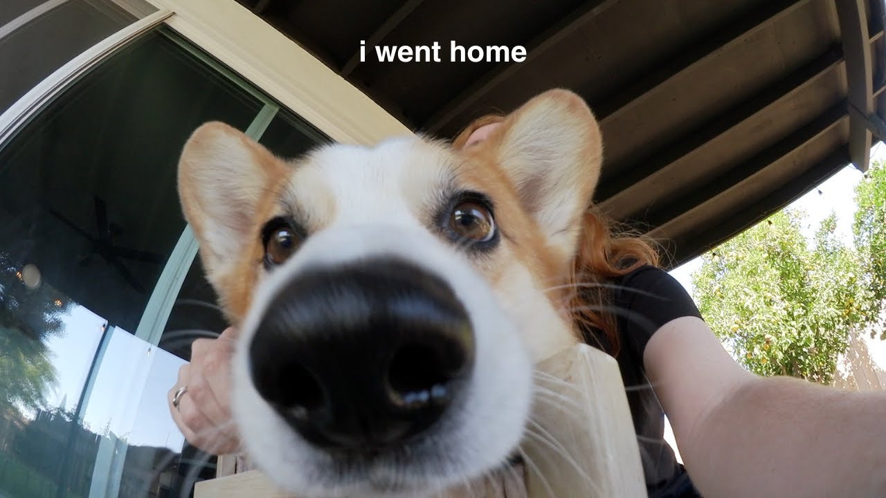 YouTube post by @caricakes for Skillshare. Caption reads: on the coast that raised me ❤️‍🩹 california then....