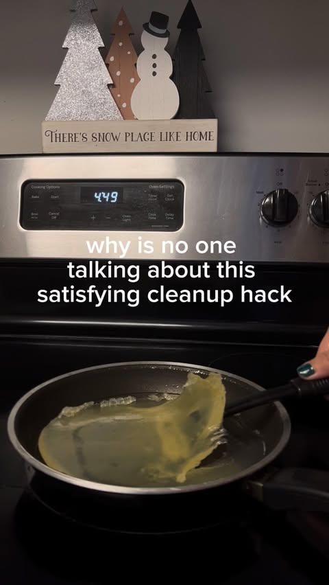 Instagram post by @desinflow_ for FryAway. Caption reads: [...] #HostingHack #orlandohummingbirds @fryawayco....