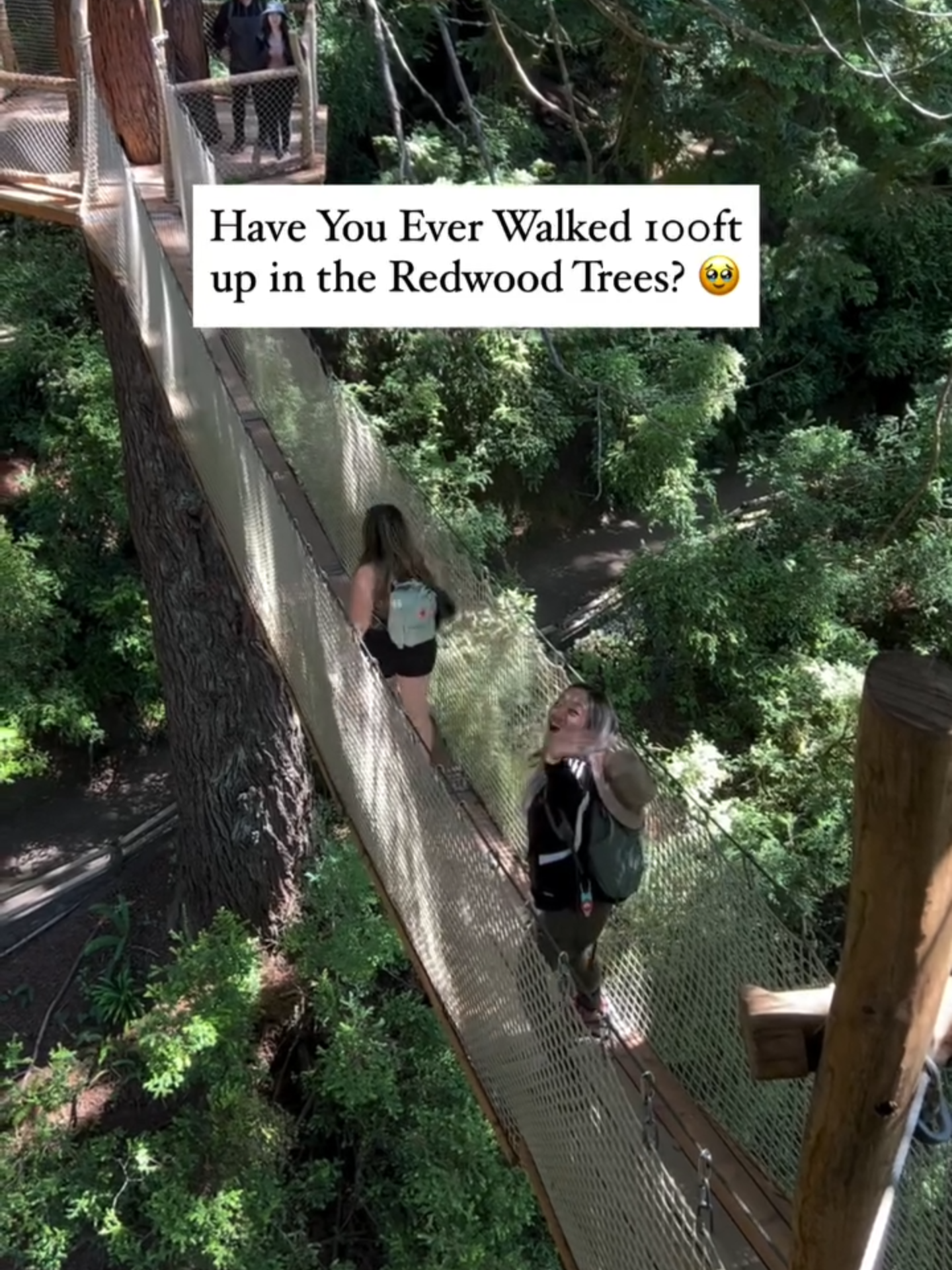 TikTok post by @discover_california_ for Visit California. Caption reads: Dreaming of walking through the Redwood canopies?....