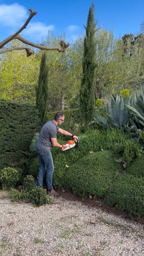 Instagram post by @brentonrobertsgardendesigns for STIHL. Caption reads: This Stihl HSA 50 battery hedge trimmer makes....