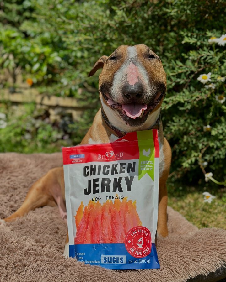 Instagram post by @barkley.ebt for Beloved Pets. Caption reads: It’s Tuesday, my tongue’s out, and there’s chicken....