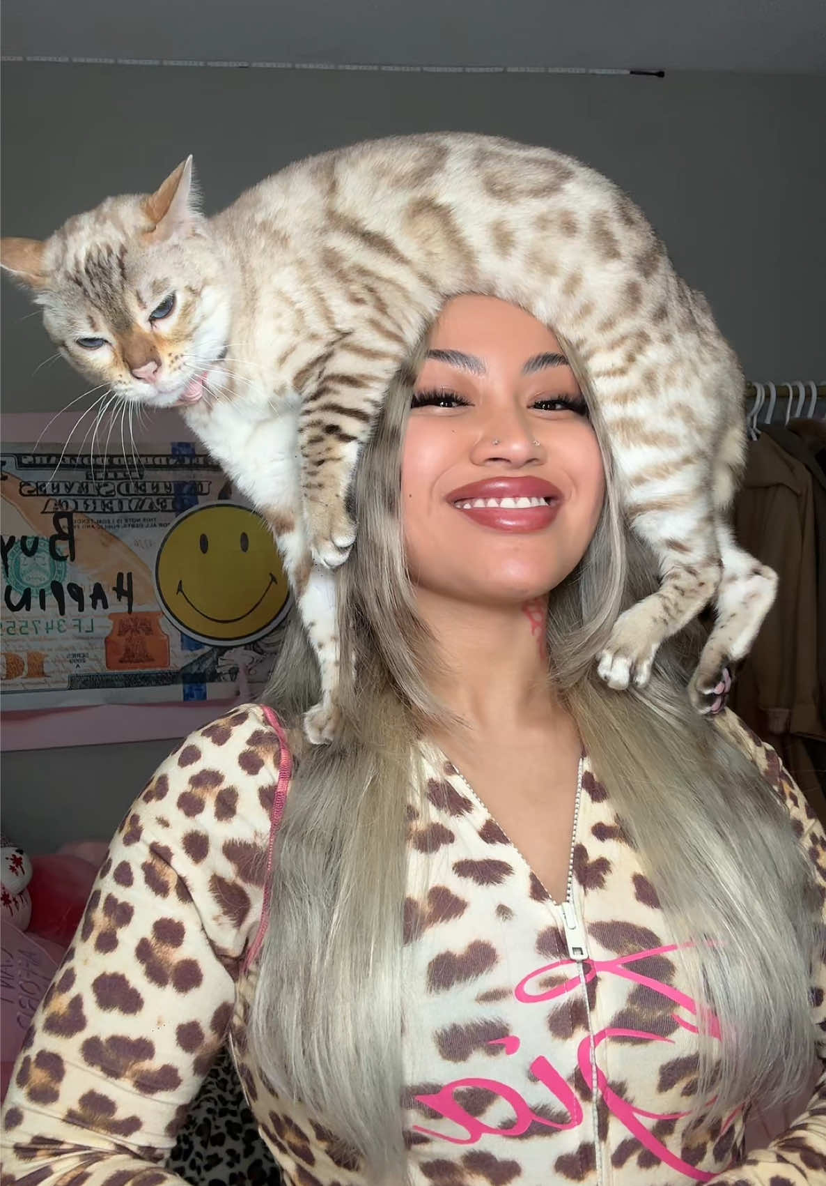 TikTok post by @mirajanethebengal for IAMGIA. Caption reads: HELP😭😭 @I.AM.GIA #cat #catvideos #bengalcat.