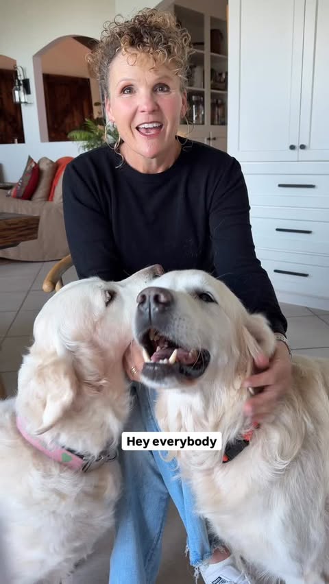 Instagram post by @nicholberrygoldens for Eufy. Caption reads: Okay friends - don’t miss this Black Friday sale....