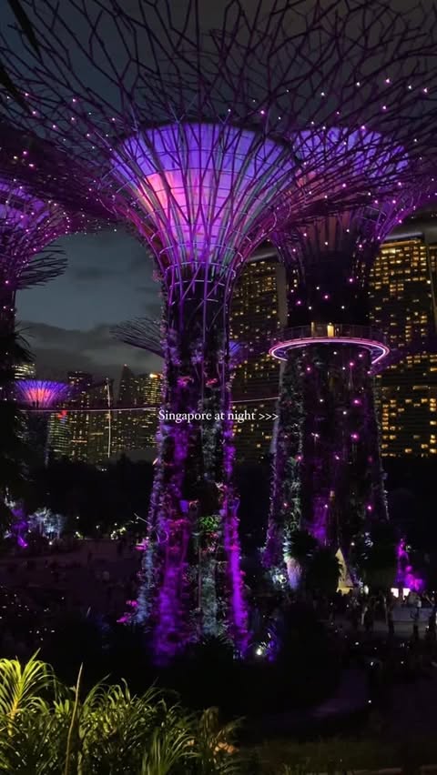 Instagram post by @thetravelkid.nz for Accor Group. Caption reads: If you’re in Singapore, stay at....