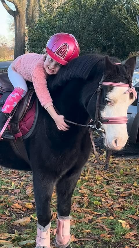 Instagram post by @anaissuperponys for EQUESTRIAN STOCKHOLM. Caption reads: [...] selected products. #esstockholm....