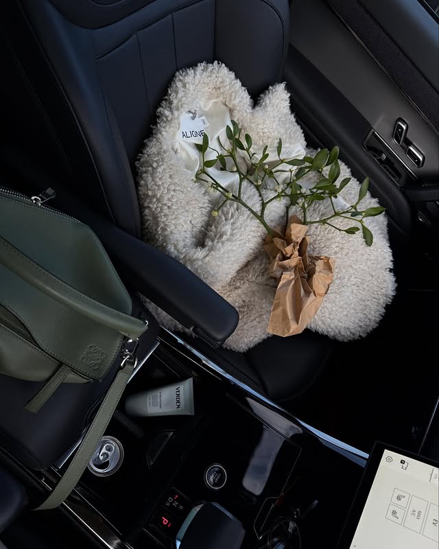 Instagram post by an influencer for ALIGNE. Caption reads: What I wore to go out & buy misteltoe 🌱....