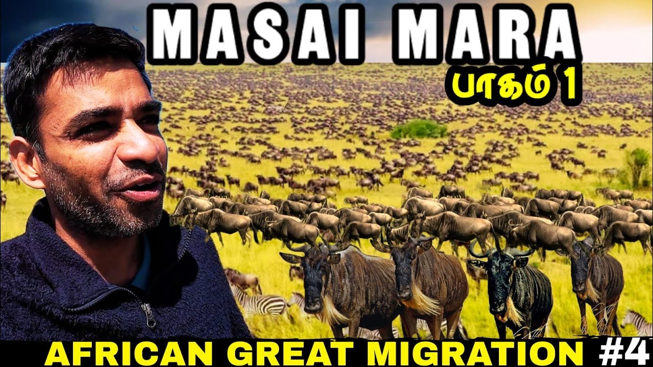 YouTube post by @BackpackerKumar for GT Holidays. Caption reads: 🌍World Famous African Safari உங்கள்....