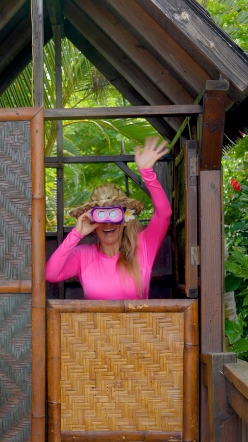 Instagram post by @alisonsadventures for Educational Insights. Caption reads: [...] I’m coconuts excited that....