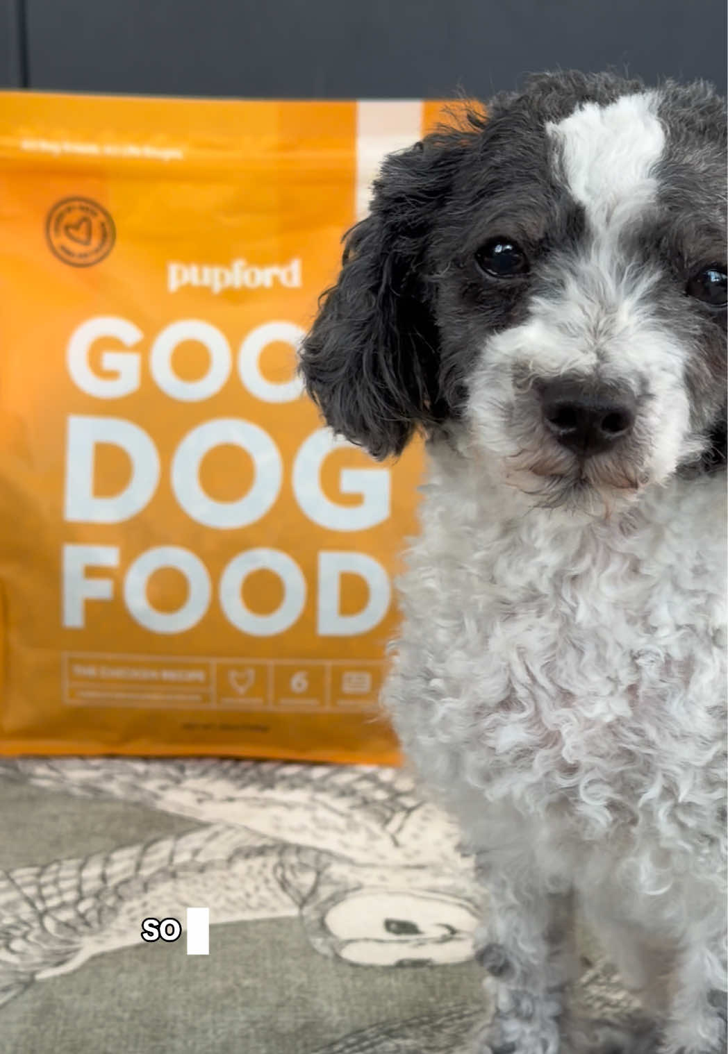 TikTok post by @kayla_wildroots for Pupford. Caption reads: [...] #freezedried #doghealth #dogfood @Pupford.