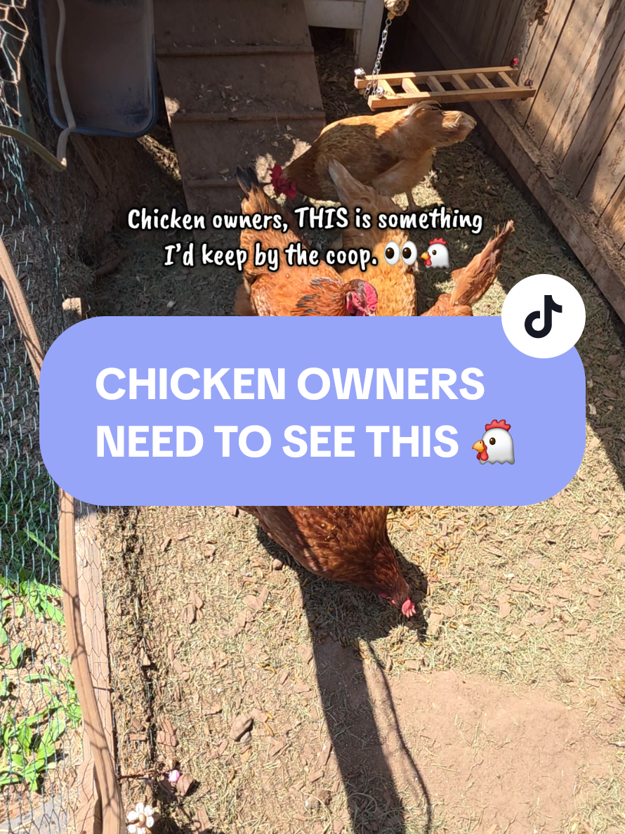 TikTok post by @zazu.29 for Reliant Pet. Caption reads: Reliant Pet Chicken & Coop Poultry Spray for [...].