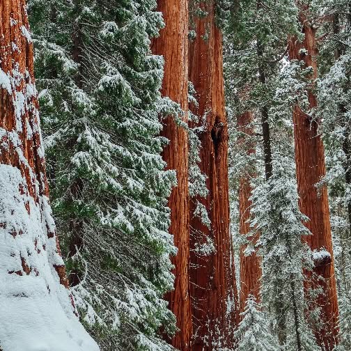 Instagram post by @colleen.m.logan for The Camera Store. Caption reads: Some moments don’t just ask to be captured — they....